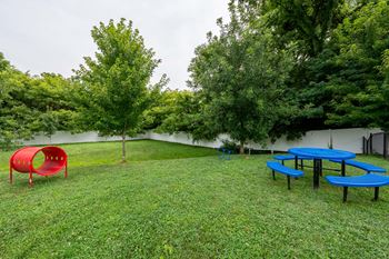 Dog park